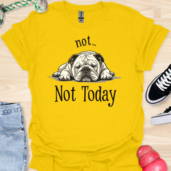 Not today - V9 - Lazy Message T-Shirt